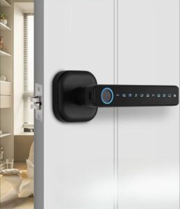 Manilla inteligente con huella dactilar para puertas de habitación